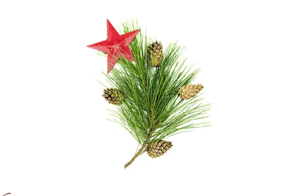 Fir Tree Branches Cones Decorative Red Toy Star Isolated White — Stock Photo, Image
