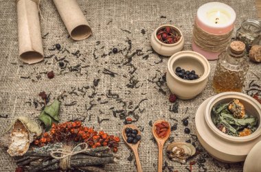 Bitkisel Tıp kavramı. Alternatif Tıp. Kuru vahşi rowan berry ve elma berry, raf mantar ve diğer şifalı otlar esans ve reçete kaydırma kopya alanı çuval bezi çul zemin üzerine.