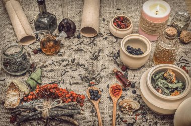 Bitkisel Tıp kavramı. Alternatif Tıp. Kuru vahşi rowan berry ve elma berry, raf mantar ve diğer şifalı otlar esans ve reçete kaydırma kopya alanı çuval bezi çul zemin üzerine.
