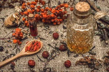 Bitkisel Tıp kavramı. Alternatif Tıp. Şifalı vahşi rowan berry ve elma ağacı berry otlar ve uçucu yağ çuval bezi çul arka plan üzerinde kuru.