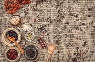 Bitkisel Tıp kavramı. Alternatif Tıp. Şifalı vahşi rowan berry, elma ağacı berry ve kiraz berry otlar ve uçucu yağ kopya alanı çuval bezi çul zemin üzerine kuru.