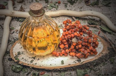 Bitkisel Tıp kavramı. Çul arka plan üzerinde kuru rowanberry ve rowan berry esans tentür.