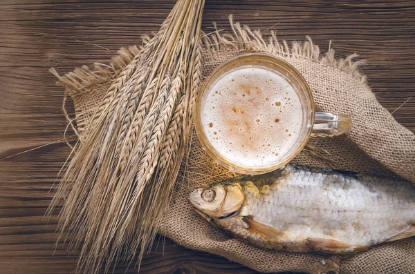 Foam beer in a mug, dried fish stockfish and rye ears wrapped in burlap cloth on a burnt wooden table background.
