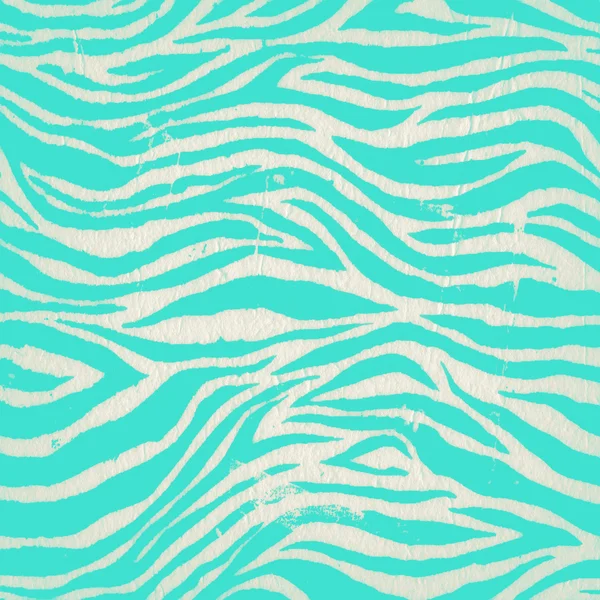 Vintage zebra turquoise pattern