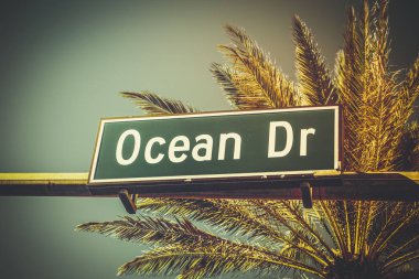 Ocean Drive işareti ile palmiye ağacı, Miami Beach