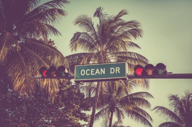 Ocean Drive ile palmiyeler, Miami sokak tabelası