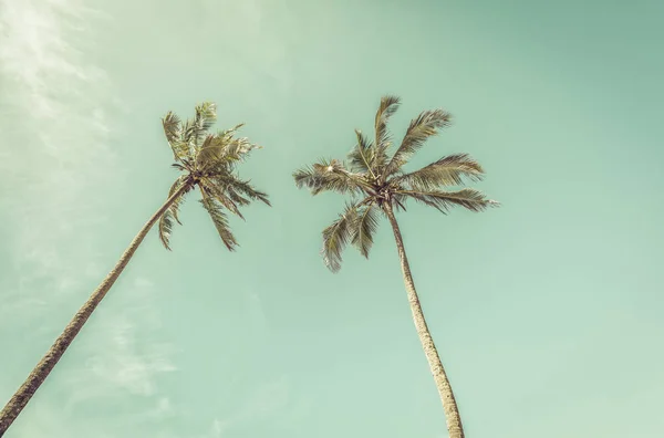 Palmeras en la playa Playa — Foto de Stock