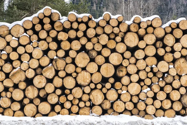 Okrągłe drewniane pale ułożone pokryte śniegiem — Zdjęcie stockowe