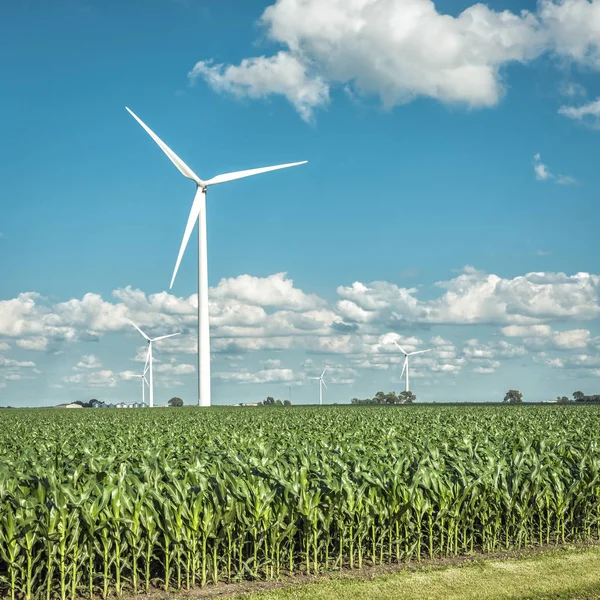 Wind farm och landsbygden majsfält — Stockfoto