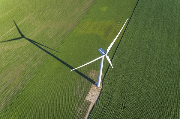 Ветрогенератор в зеленом поле, вид с воздуха — стоковое фото
