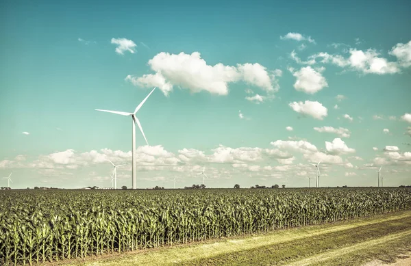 Wind farm en platteland maïsveld — Stockfoto