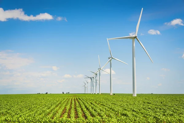 Wind farm en platteland maïsveld — Stockfoto