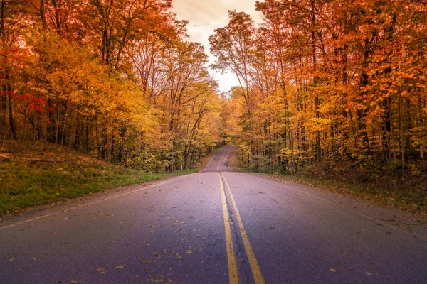 Estrada na floresta de outono — Fotografia de Stock