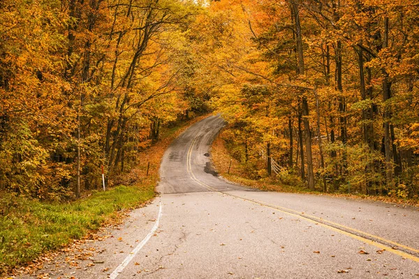 Weg met bladeren in de herfst bos — Stockfoto