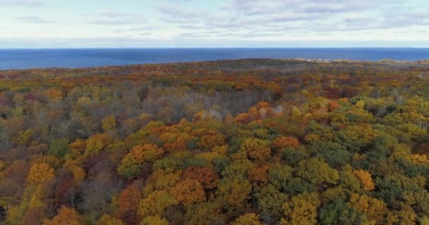 Nad Kolorowym Lasem Klonowym Bogatą Jesienną Kolorystyką Kierunku Jeziora Michigan — Wideo stockowe