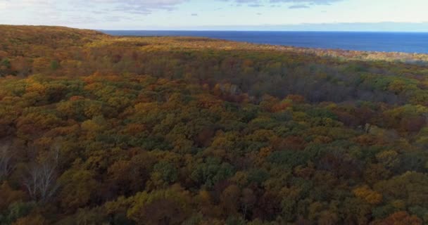 Aerial Acima Floresta Bordo Colorida Cores Típicas Folha Outono Efeito — Vídeo de Stock