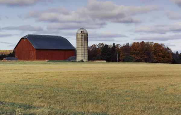 Fall Landskap Med Träd Lantlig Lada Och Gräsmatta — Stockfoto