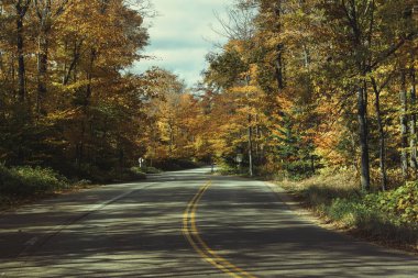Door County, Wisconsin 'de boş virajlı yol. Renkli akçaağaçlarıyla sonbahar mevsimi
