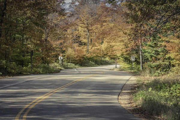 Strada Sinuosa Vuota Nella Foresta Autunnale Wisconsin Focus Selettivo — Foto Stock