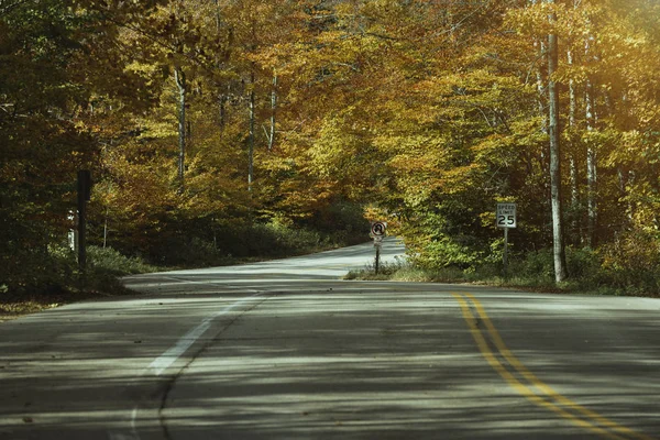 Prázdná Asfaltová Cesta Podzimním Javorovém Lese Slunečný Den Barevnými Listy — Stock fotografie