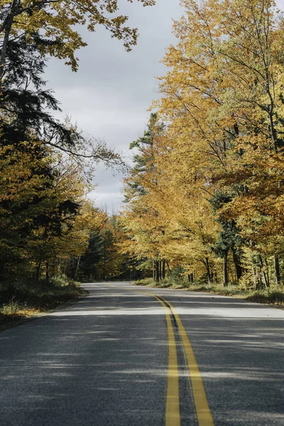 Camino Asfalto Bosque Otoñal Día Soleado Árboles Coloridos — Foto de Stock