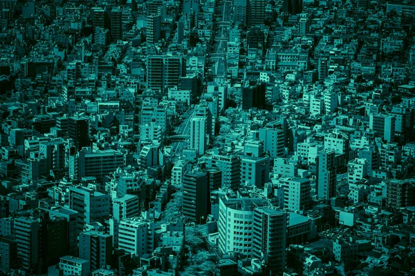 Tokyo Urban Fabric Streets Buildings Aerial View Aqua Menthe Colors — Stock Photo, Image