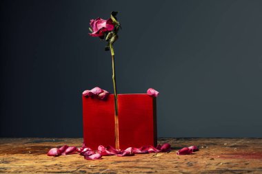 Pembe gül yaprakları ile