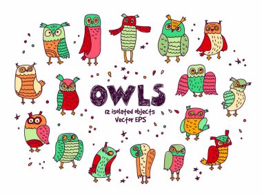 Renk baykuş kuş grubu  