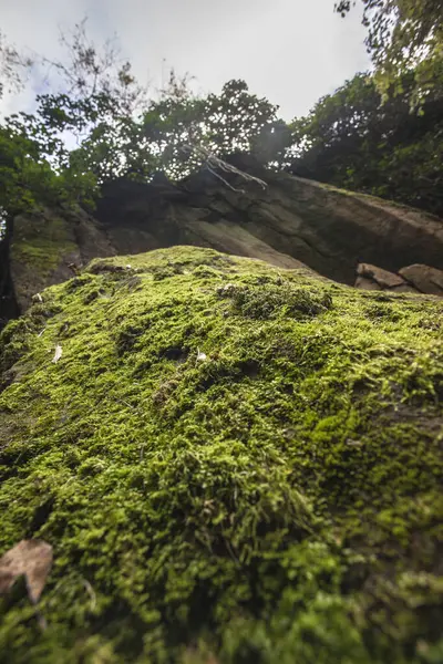 Moss en las rocas 2 —  Fotos de Stock