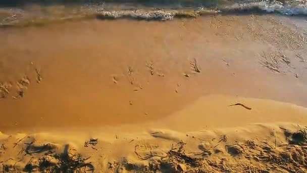 Ondas litorâneas em Modica Beach — Vídeo de Stock