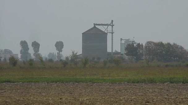 Indústria Secagem Grãos Imersa Campo — Vídeo de Stock