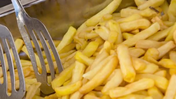 Pot Pommes Frites Redo Att Äta — Stockvideo