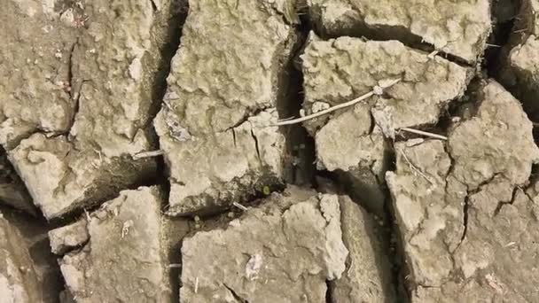 Textura Solo Com Rachaduras Criadas Pela Seca Campo Pronto Para — Vídeo de Stock