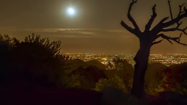 ロニーゴ イタリア村の上の丘からの眺め 温かみのある色調の非常に印象的なツリー そのスカイラインの下都市の丘のある落下星と夜の撮影風景します — ストック動画