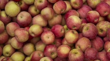 Kırmızı elma doku: kırmızı elma bir sürü zaman üretim aşamasında kendi koleksiyonunun bir depo gözlerine toplanan. Elma depolama.