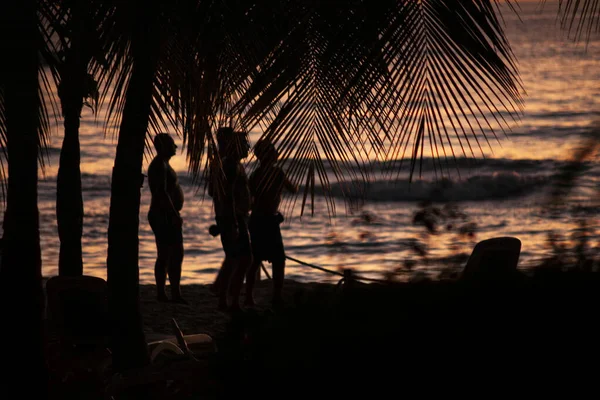 Силует карибських людей на заході сонця 2 — стокове фото