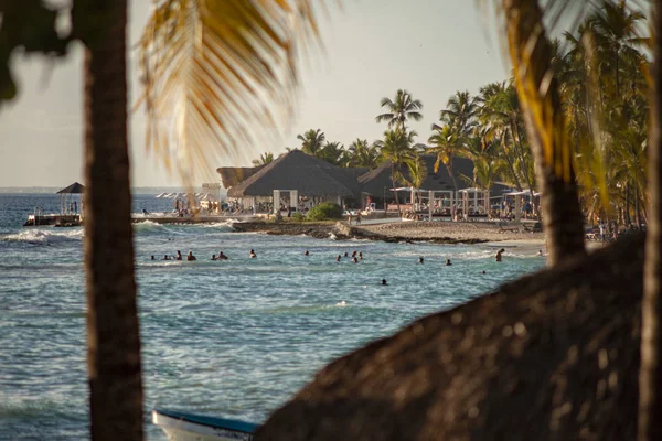 Karibiska stranden vid solnedgången filtrerad av vegetation — Stockfoto