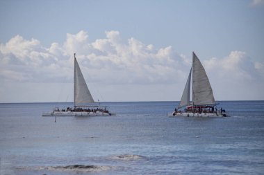 Bayahibe Denizi 'nde yelkenliler