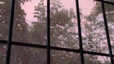Pencere koruma ızgarası ve arkasında bitki örtüsü