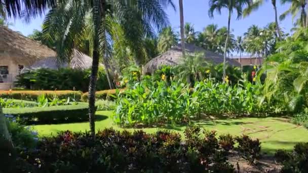 Tropische Tuin Een Resort Overdag — Stockvideo