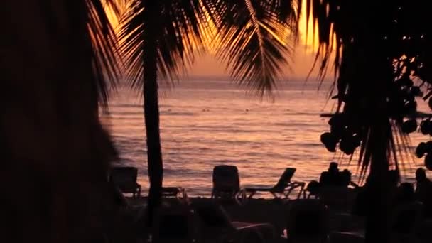 ドミニカ共和国の日没カリブ海のビーチでシルエットヤシの木 — ストック動画