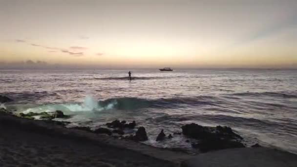 Surfer Sunset Bayahibe Dominica Republic — стокове відео