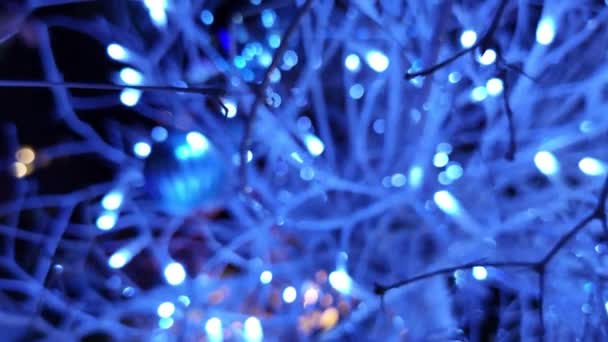 Decoração Natal Com Luzes Ble — Vídeo de Stock