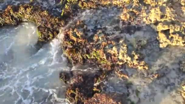 Agua Entre Rocas Bayahibe República Dominicana — Vídeo de stock