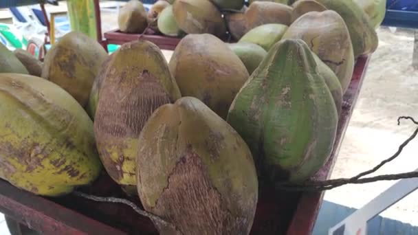 Kokosnoten Het Strand Klaar Voor Verkoop — Stockvideo