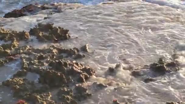 Shoreline Con Acqua Che Rompe Sulle Rocce Bayahibe — Video Stock