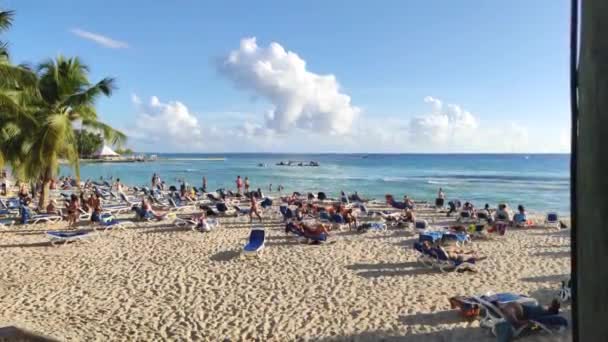 Dominicus Resort Strand Med Solstolar — Stockvideo