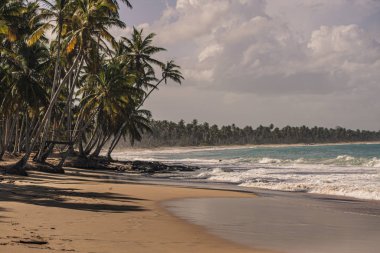 Dominik Cumhuriyeti Playa Limonu 27