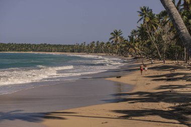 Playa Limonu Dominik Cumhuriyeti 31