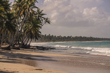 Dominik Cumhuriyeti 'nde Playa Limonu 29